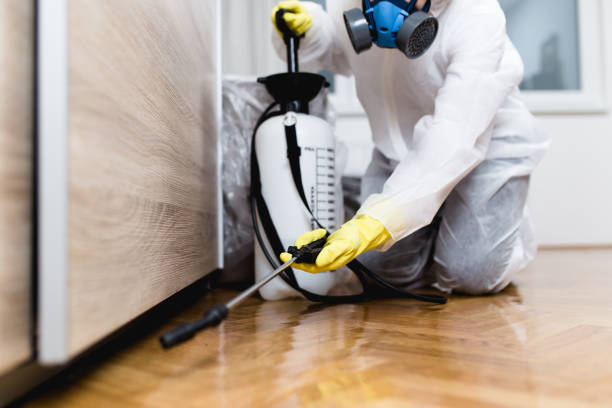 Best Pest Control for Businesses  in Darlington, WI