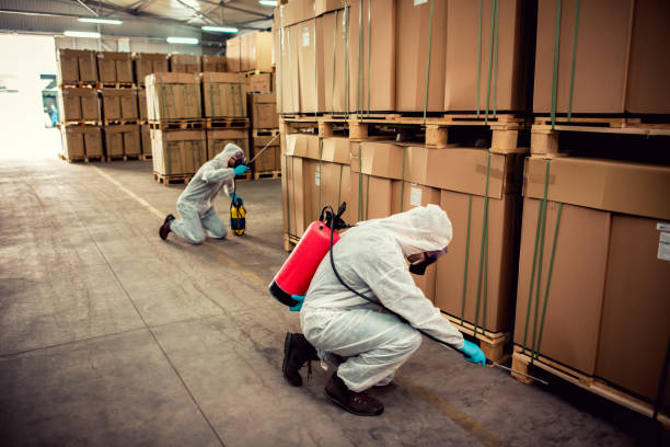 Best Pest Removal Services  in Darlington, WI