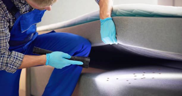 Best Bed Bug Extermination  in Darlington, WI