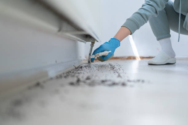 Best Cockroach Control Services  in Darlington, WI